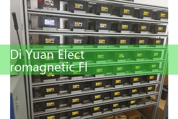 Di Yuan electromagnetic flowmeter